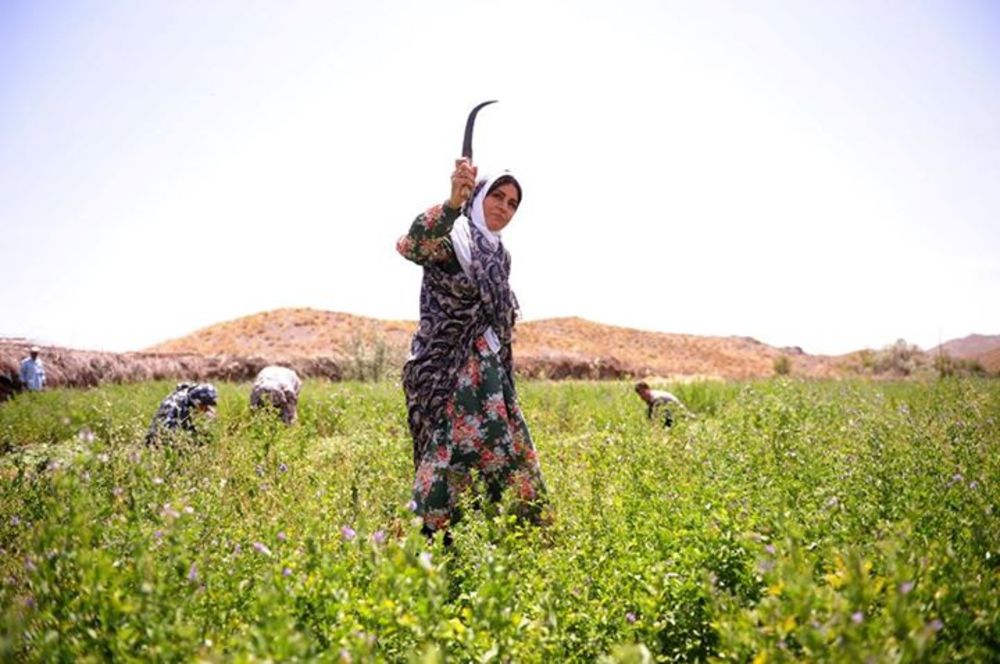 مریلا زارعی در نمایی از فیلم «شیار 143»